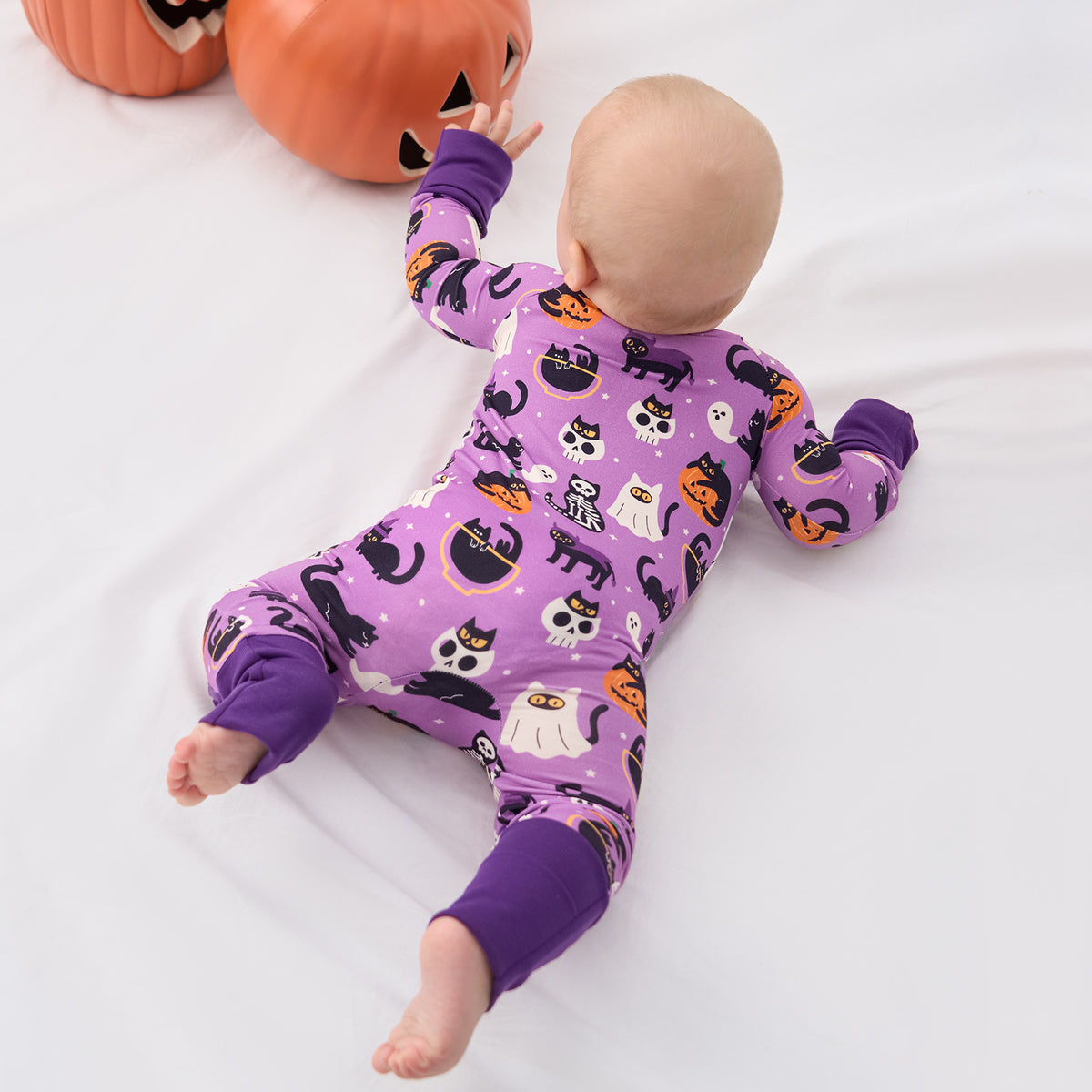Halloween Cat